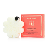 Spongelle Boxed Flower Soap Sponge