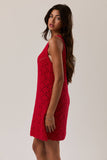 Boat Neck Sleeveless Crochet Dress - Red