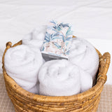 Fresh Scents | Painted Palms Sachets