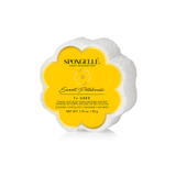 Spongelle Daisy Spongette Travel Soap Sponge