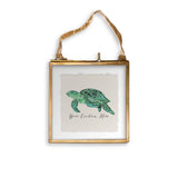 Blue Sea Turtle with Location: Dishtowel - Pensacola Beach