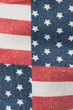 Raw Edge Patriotic Flag Denim Shorts- Denim