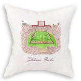 Tallahassee, Florida Stadium: Dishtowel