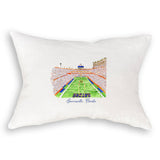 Gainesville, Florida Stadium: Dishtowel