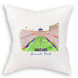 Gainesville, Florida Stadium: Dishtowel