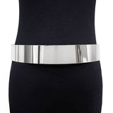 Metal Hard Plate Belt