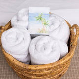 Fresh Scents | Seaspray Sachets