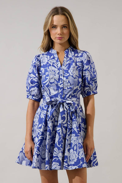 Viry Floral Wenda Pleated Mini Dress