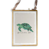 Blue Sea Turtle with Location: Dishtowel - Pensacola Beach
