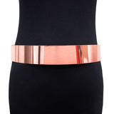 Metal Hard Plate Belt
