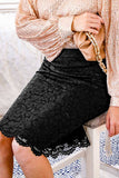 Lacey Floral Lace Midi Skirt